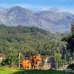 Holiday home La Torre De Llames Vv-1401-as Arriondas